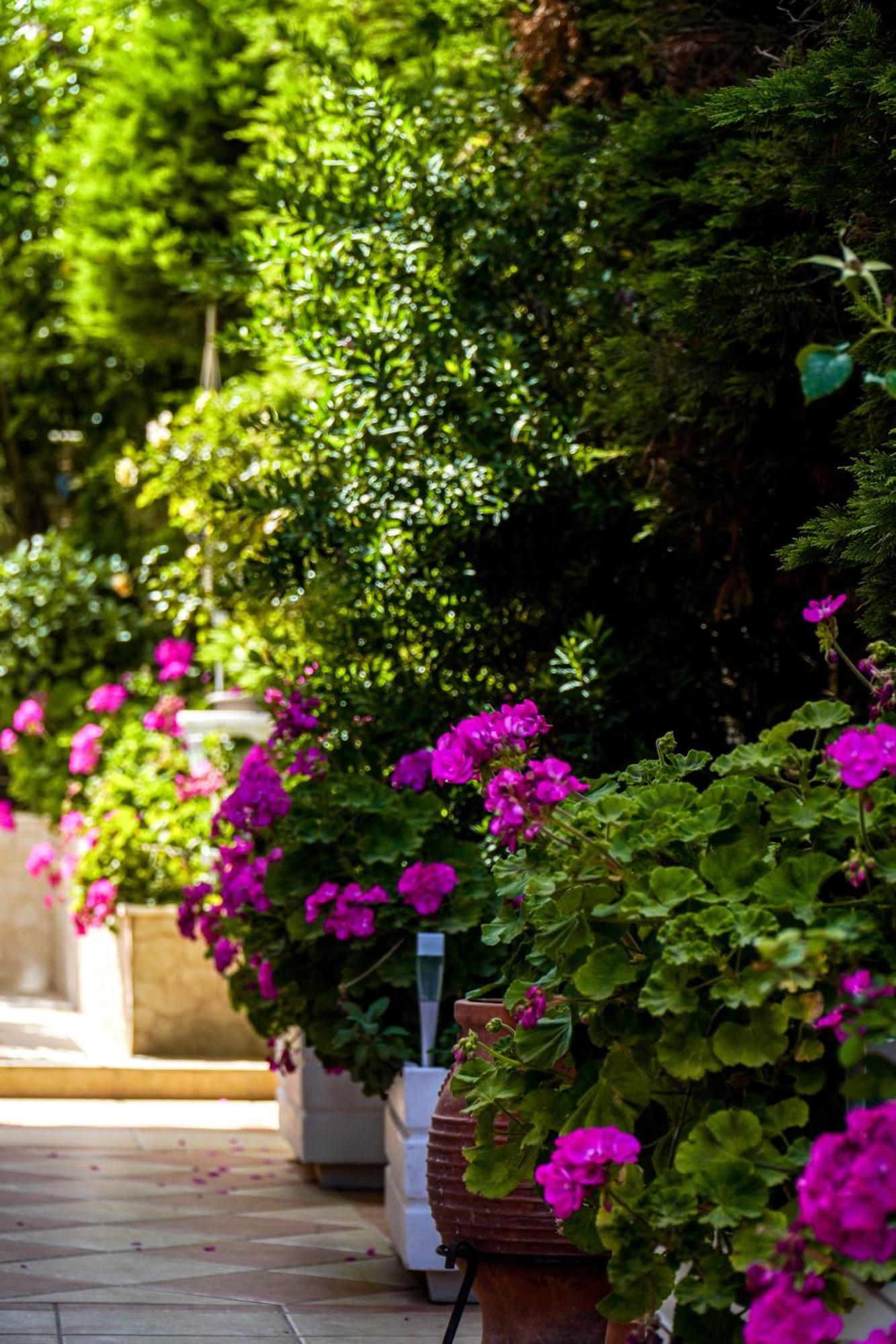 Cozy Artemis House Near Athens Airport * Artemida (Attica)
